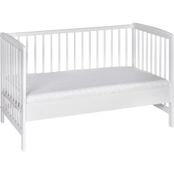 Schardt Cuna Colecho Micky Blanco