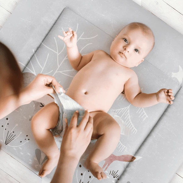 JULIUS ZÖLLNER Cambiador Softy Woodlife 85 X 75 Cm 4 JULIUS ZÖLLNER Cambiador Softy Woodlife 85 X 75 Cm - Imagen 2